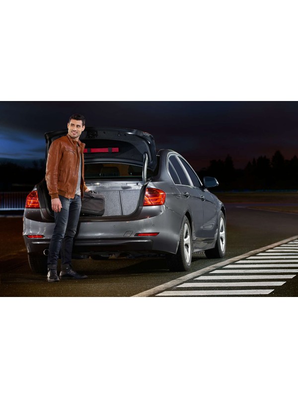 ŽARNICA PHILIPS LED SOFITNA X-tremeUltinon LED 10,5 x 38mm 6000 K 12V X1