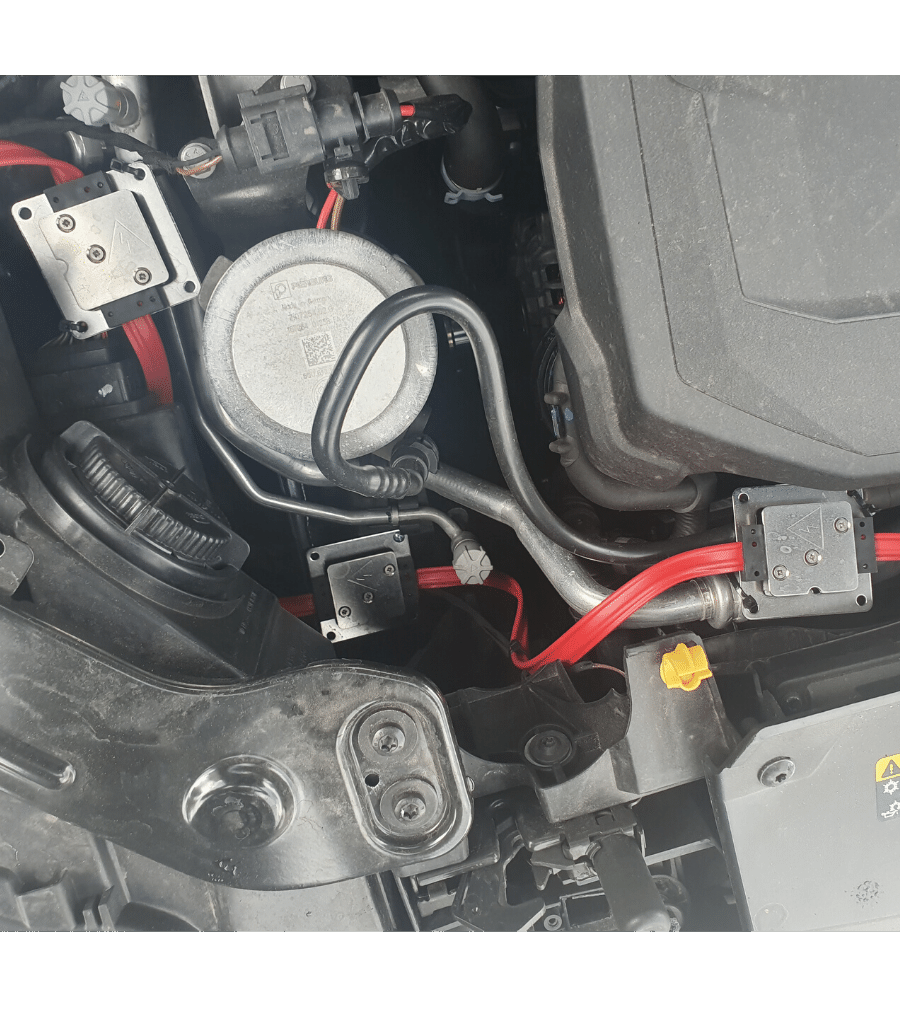 ODGANJALEC KUN, MIŠI, GLODALCEV KEMO M229