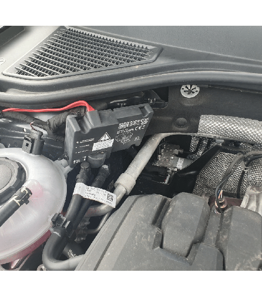 ODGANJALEC KUN, MIŠI, GLODALCEV KEMO M229