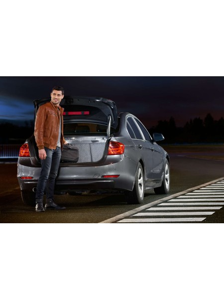 ŽARNICA PHILIPS LED SOFITNA X-tremeUltinon LED 10,5 x 43mm 6000 K 12V X1