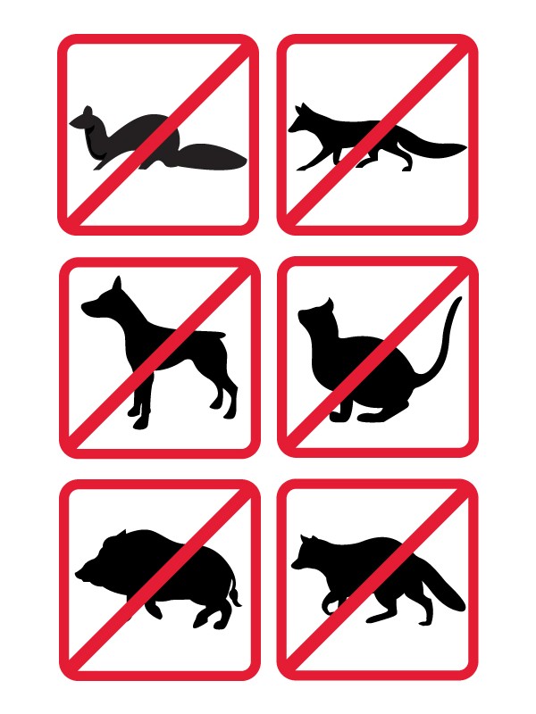 ODGANJALEC DIVJIH ŽIVALI - KUNE, PRAŠIČI, JELENI 12V KEMO M161