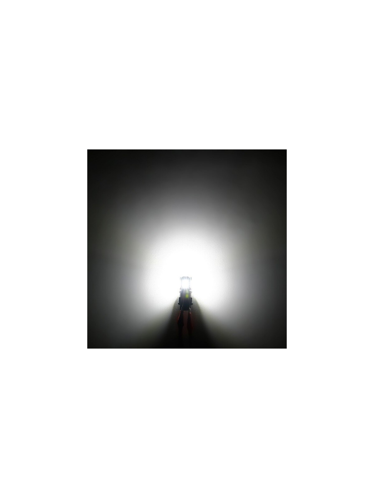 ŽARNICA CN LED W21W 12V 12LED 6500K