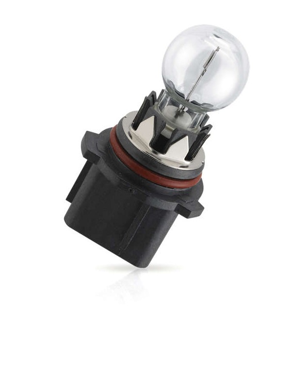 build up Traditional Importance BULB PHILIPS HALOGEN P13W 12V HiPerVision PG18.5d-1 C1